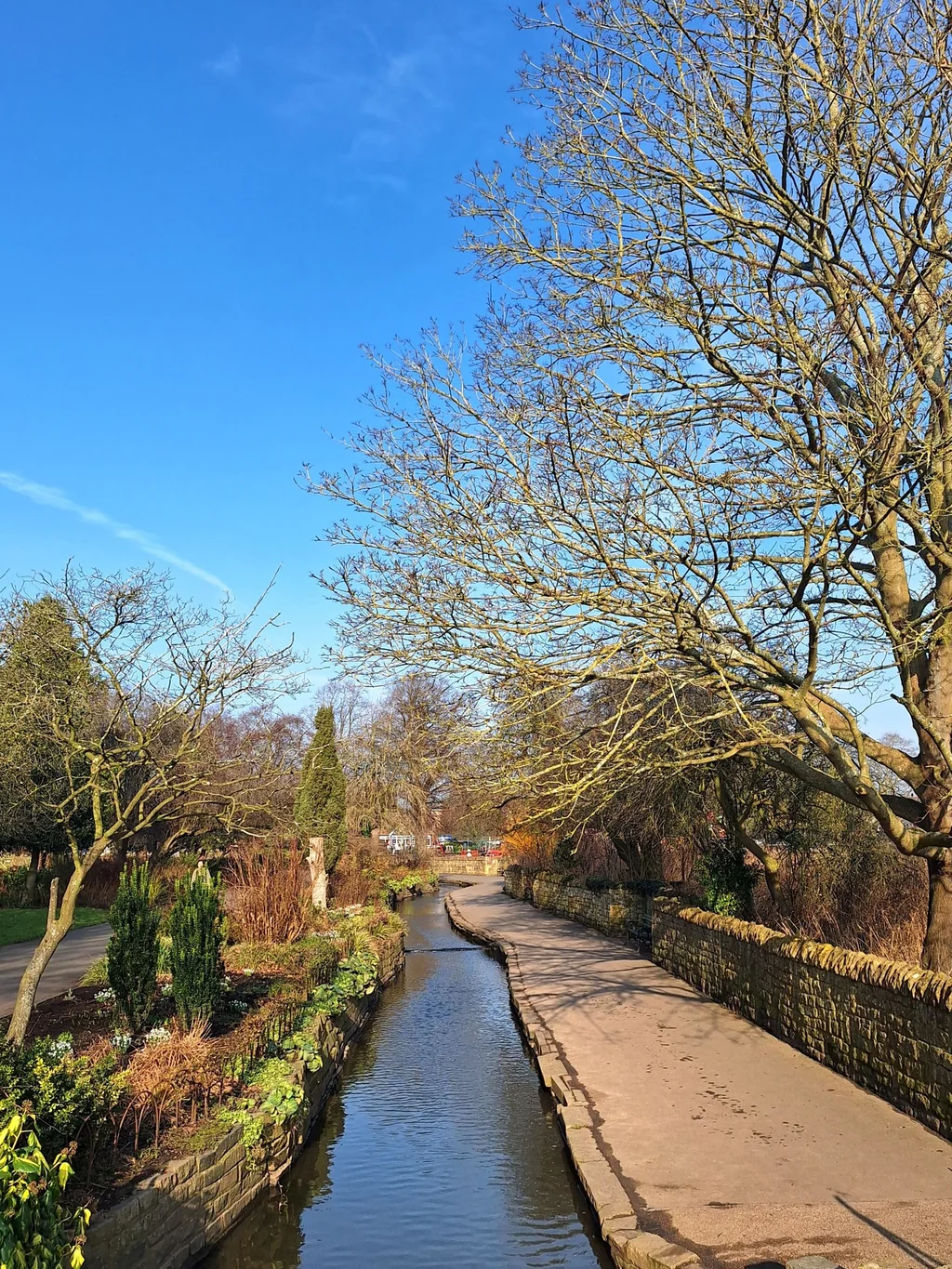 A serene park scene features a narrow canal with a stone wall on the left, surrounded by lush greenery and bare trees. The clear blue sky contrasts with the greenery, and the low-angle perspective emphasizes the canal's depth. The image is a harmonious blend of nature and man-made elements, with no discernible text or actions.