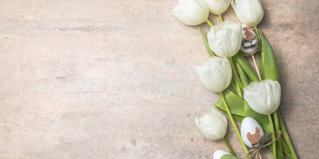 A bouquet of white tulips with green leaves and a brown ribbon is arranged diagonally on a light pink background, creating depth and contrast. The tulips are in full bloom, and the background features a light pink hue. The image is taken from above, emphasizing the tulips' beauty and the background's texture. The text "AwwA" is visible, but its significance is unclear. The arrangement of the tulips and background creates a harmonious composition, evoking a sense of spring and nature.