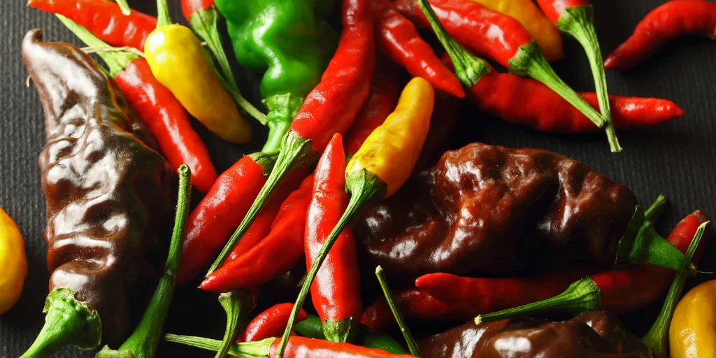 The image features a diverse collection of 20 distinct chili peppers, varying in color and shape, scattered randomly on a black surface. The chili peppers are in various stages of ripeness, with some showing signs of browning and others showing a glossy sheen. The background is blurred, emphasizing the chili peppers' vibrant colors. The image does not contain any discernible text or actions.