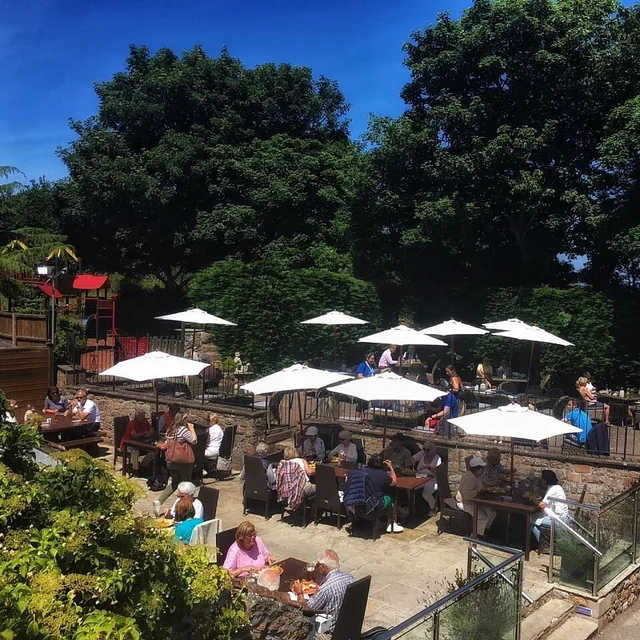 The image shows a lively outdoor café with 12 white umbrellas, 12 people, and 12 tables. The café is surrounded by trees and bushes, with a red playground and a wooden fence in the background. The scene is set against a clear blue sky, creating a serene atmosphere.